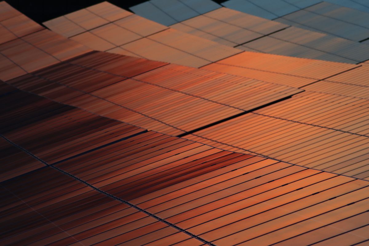 Solarmodule im warmen Abendlicht